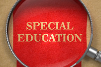 Priorities to reform special education provision